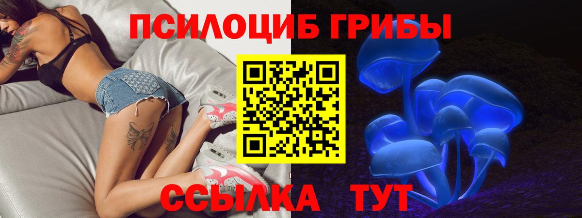 Псилоцибиновые грибы MAGIC MUSHROOMS  Вход с VPN  цены наркотик  Арзамас 